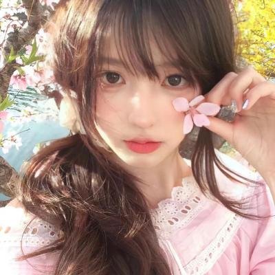 虎鲨在行动